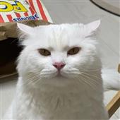 Bộ