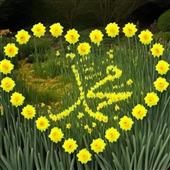 Đê