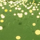 Ga