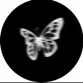 Tr