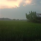 Sp