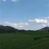 Bà