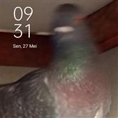 Đư