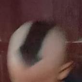 Cá