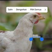 Kr