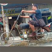 Cỏ