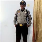 T1