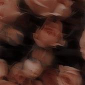 Cu
