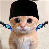 Đư