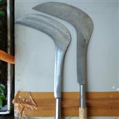 Dự