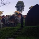 bn