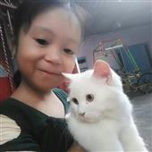 Sp