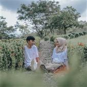 Mơ