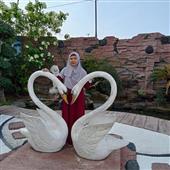 Dự