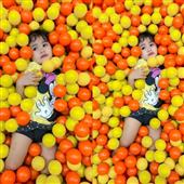Họ