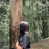 Dự