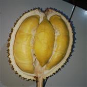 Ng