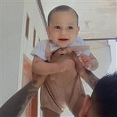 gấ