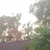 Să