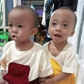 Gấ
