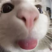 Ad