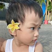 Bộ
