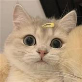 Du