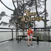 Bả