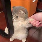TH