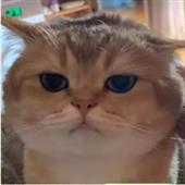Đị