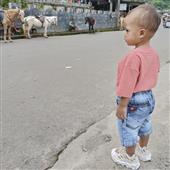 Lị