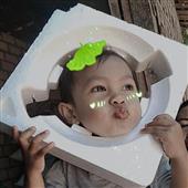 Vũ
