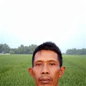 Qu