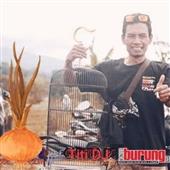 Bầ
