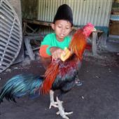 To