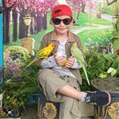 Bộ