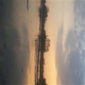 Cờ
