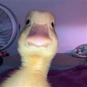 So