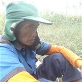 Nữ