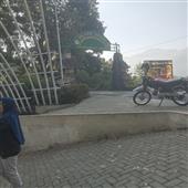 Ni