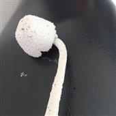 Ch