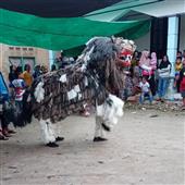 Ng