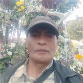 Cổ