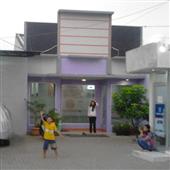 Bó