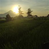 Fi