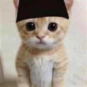 Qu