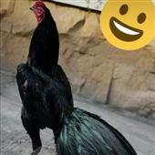 tê