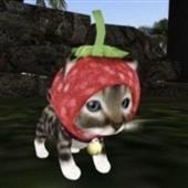 Độ