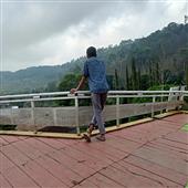 Bầ
